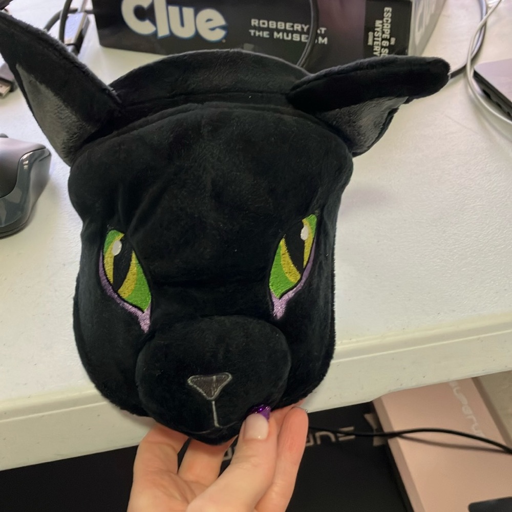 Binx from Hocus Pocus or just cat accessories